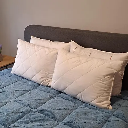 Apartment Kentro 3 *